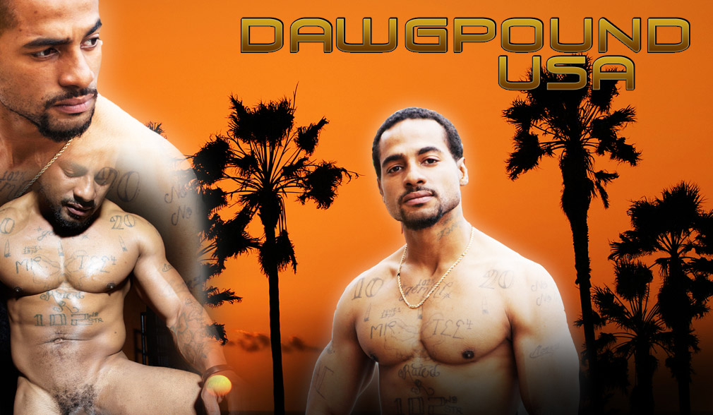 DawgPound USA